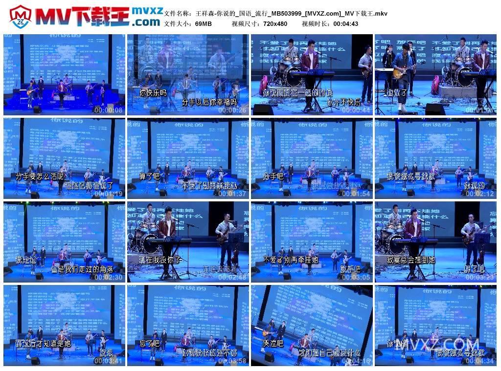 王祥森-你说的_国语_流行_MB503999